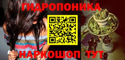 гашик Нарткала