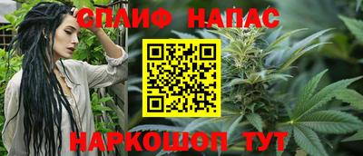 гашик Нарткала
