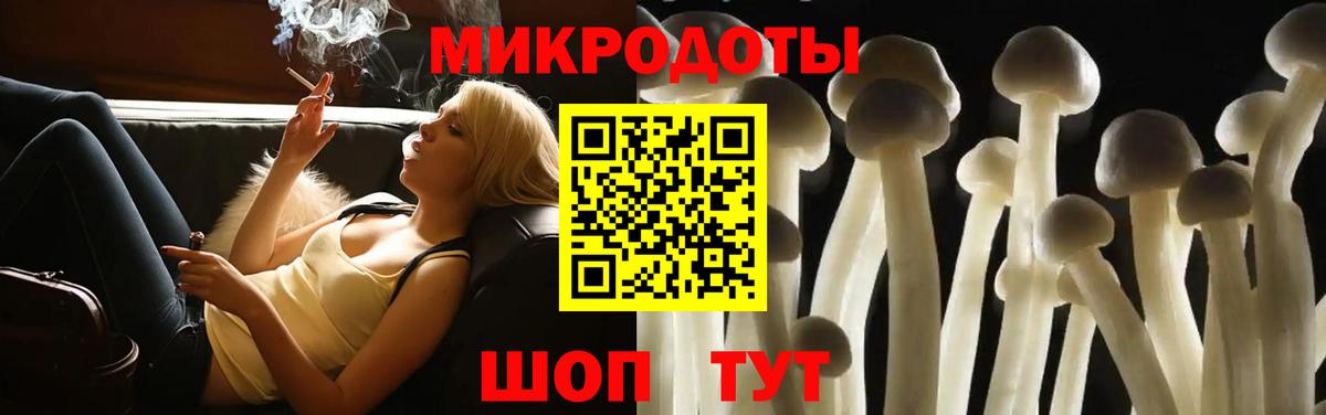Ачхой-Мартан  Псилоцибиновые грибы Cubensis  Вход с VPN 